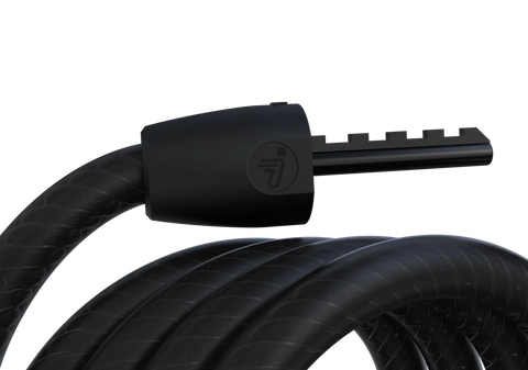 Segway Password Lock