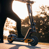 InMotion RS Electric Scooter