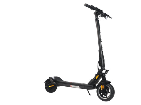 Dualtron Dolphin (36V)